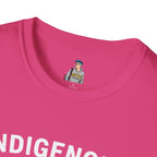 Indigenous Rights = Human Rights T-shirt