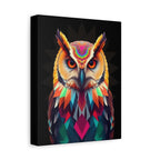 Colorful Owl Canvas Wall Art - 1.25" Stretched Matte