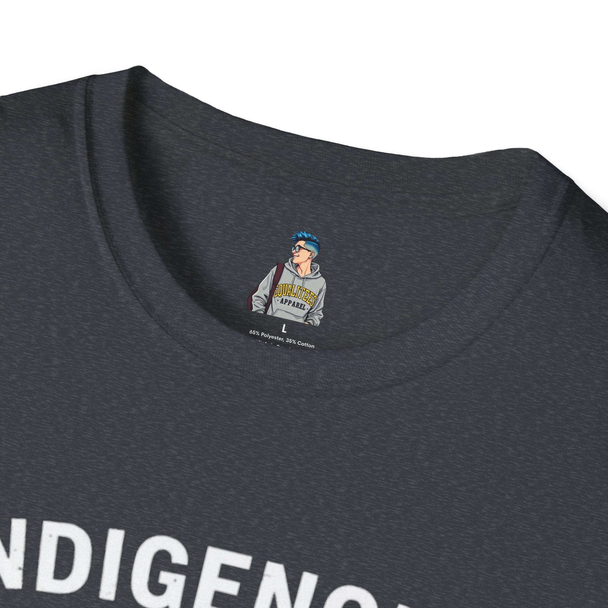 Indigenous Rights = Human Rights T-shirt