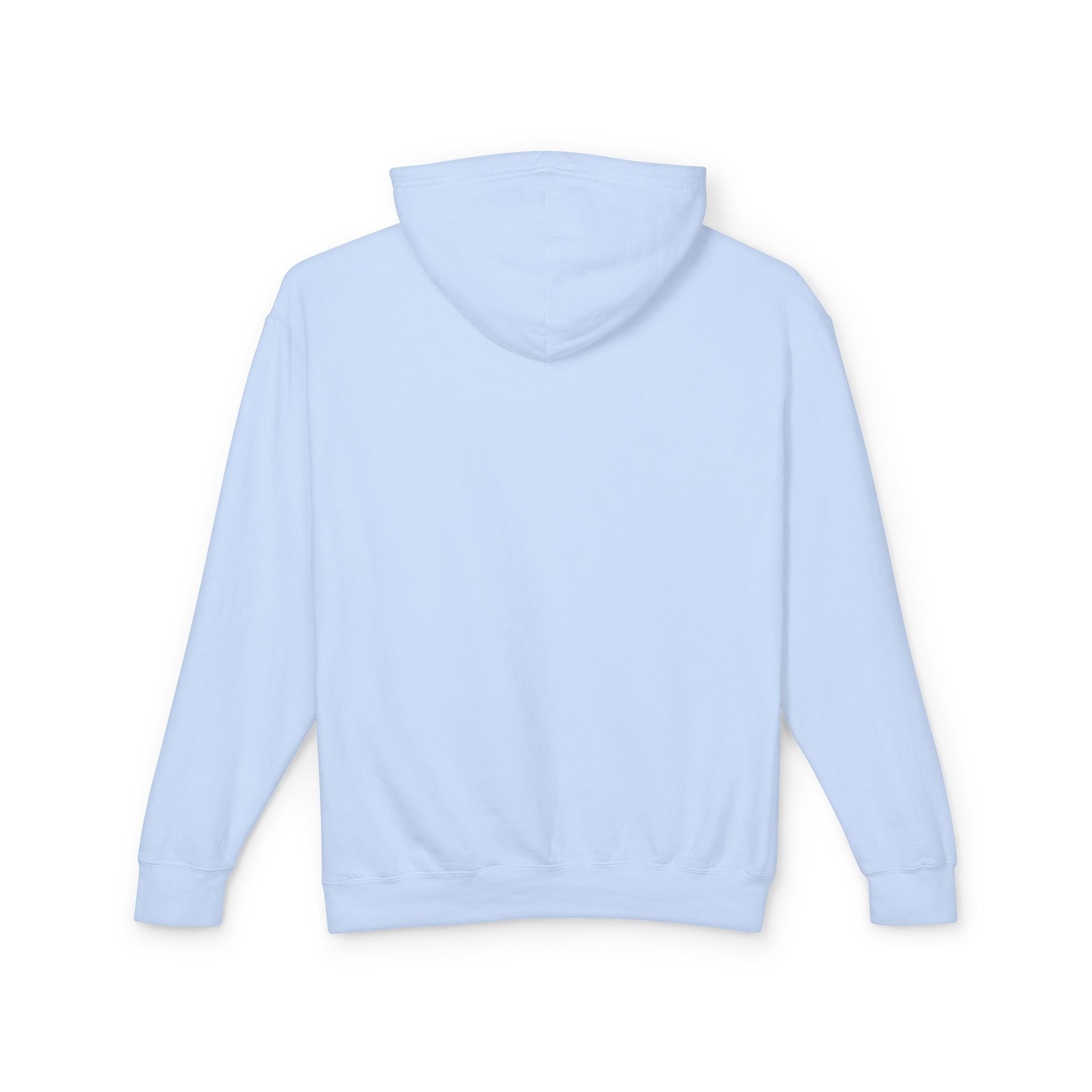 Unisex Lightweight Hooded Sweatshirt - Nothing Makes You an Expert on Skin You Don't Live In