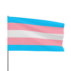Trans Pride Flag - Vibrant Design for LGBTQ+ Celebrations