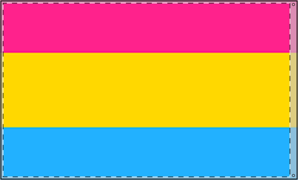 Vibrant Double Sided Pansexual Pride Flag - Perfect for Celebrations & Events