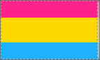 Vibrant Double Sided Pansexual Pride Flag - Perfect for Celebrations & Events