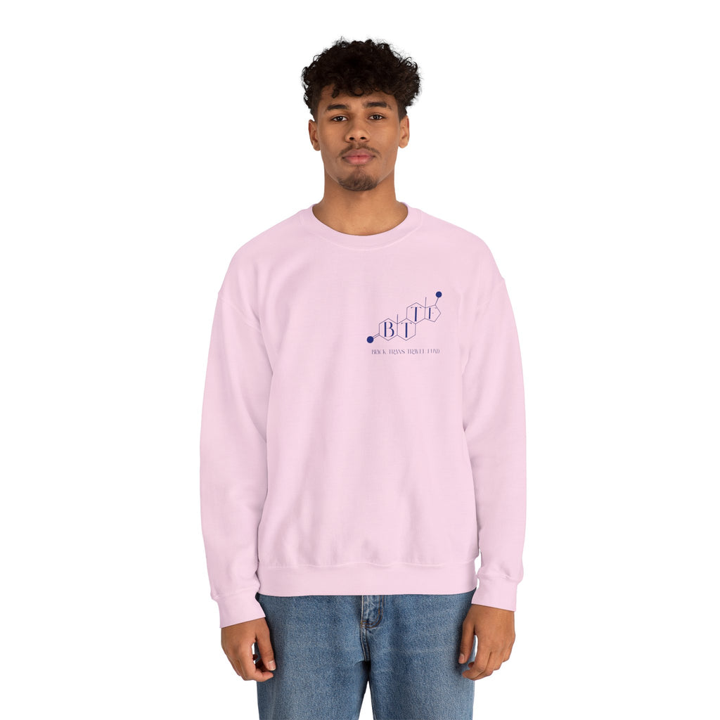 BTTF - Black Trans Travel Fund Unisex Crewneck Sweatshirt