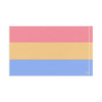 Pansexual Pride Flag - Aesthetic LGBTQ+ Banner for Celebration & Home Decor