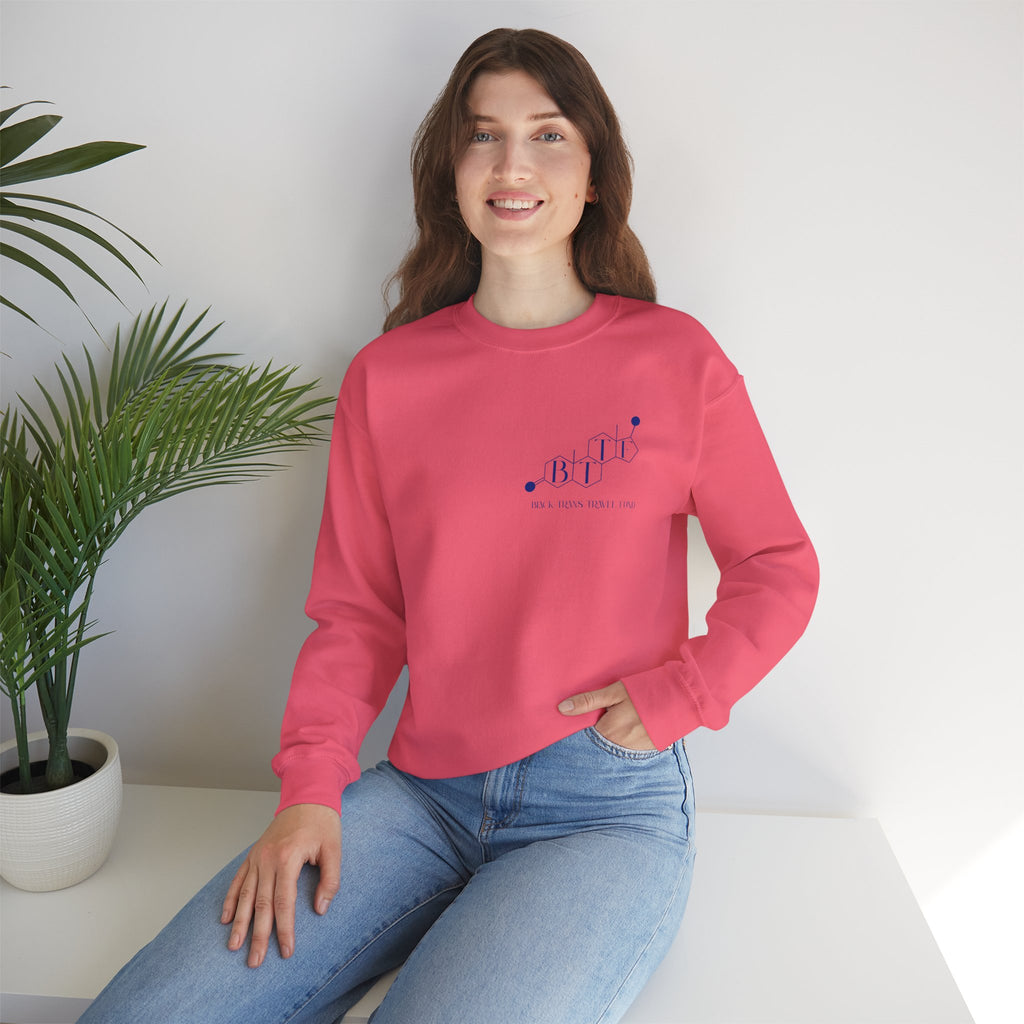 BTTF - Black Trans Travel Fund Unisex Crewneck Sweatshirt