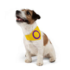 Intersex Pride Flag Pet Bandana - Strut Your Mut