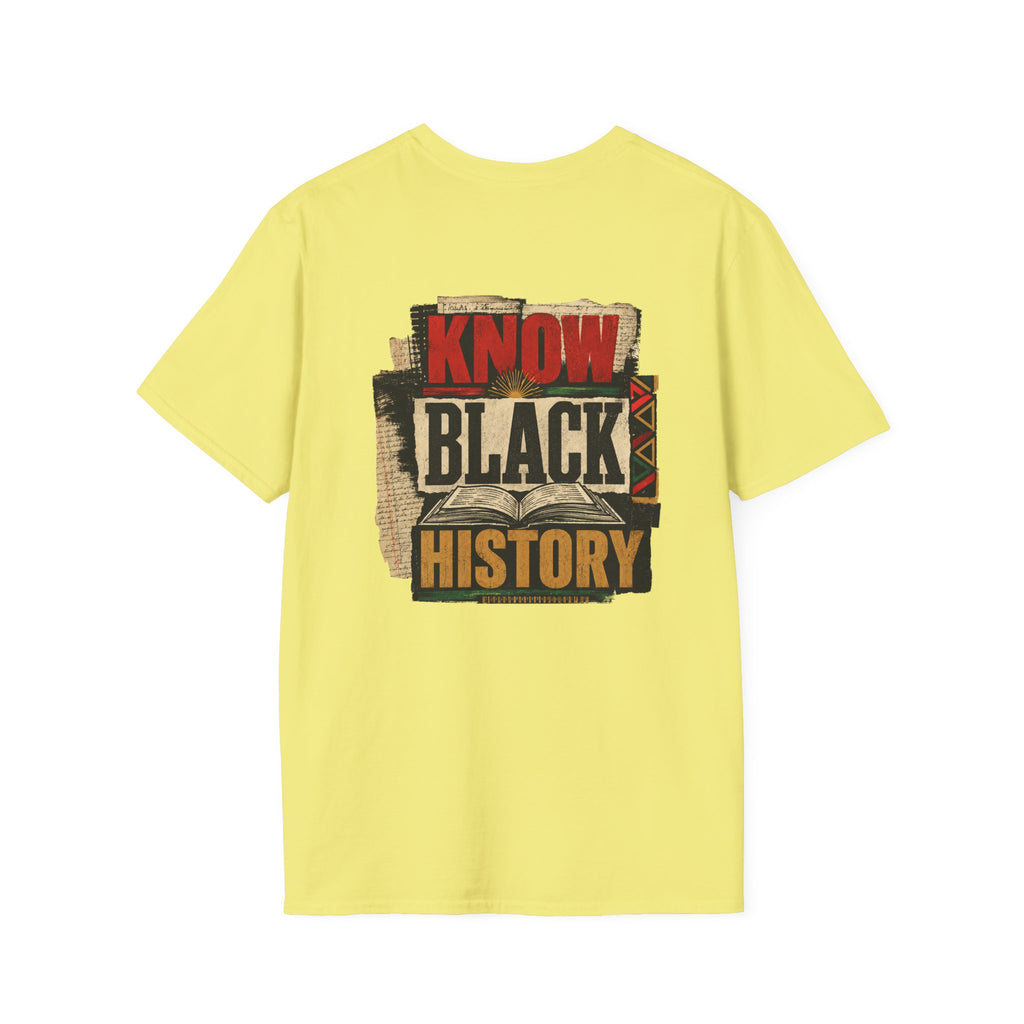 Black History Is American History T-Shirt