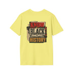 Black History Is American History T-Shirt