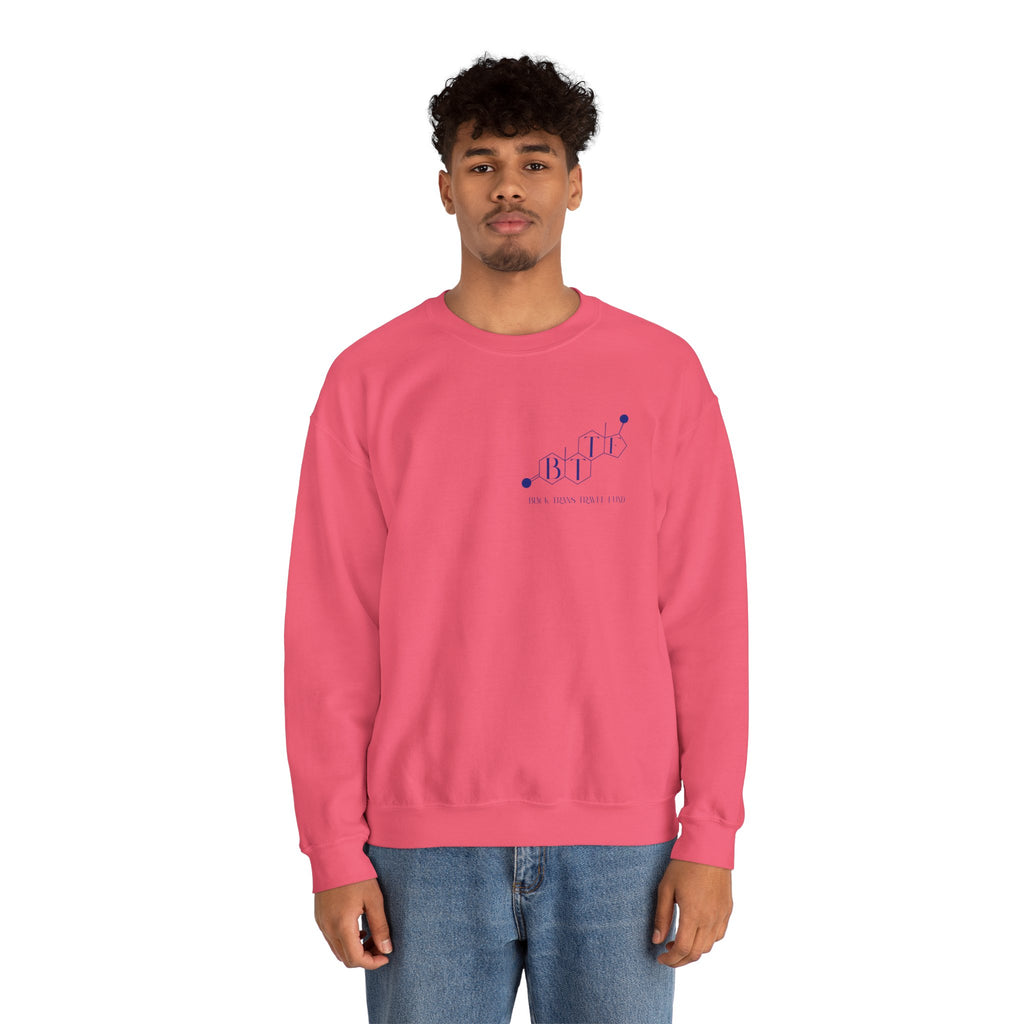 BTTF - Black Trans Travel Fund Unisex Crewneck Sweatshirt