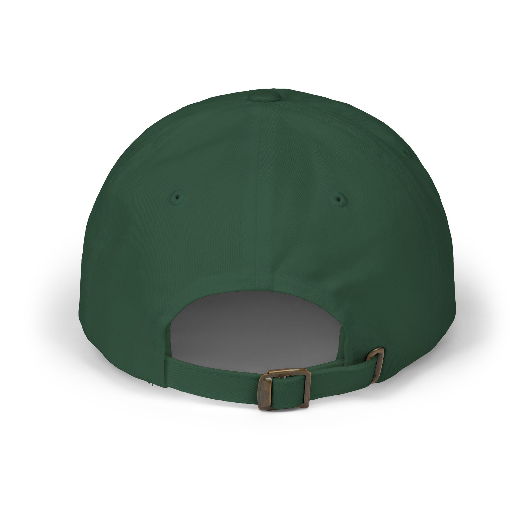 Political Dad Cap - 'Didn't Vote for the Felon'  Dad Hat