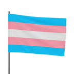 Trans Pride Flag - Vibrant Design for LGBTQ+ Celebrations