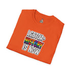 LGBTQIA+ History Is Now Unisex Softstyle T-Shirt
