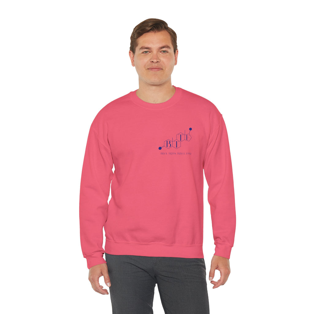 BTTF - Black Trans Travel Fund Unisex Crewneck Sweatshirt