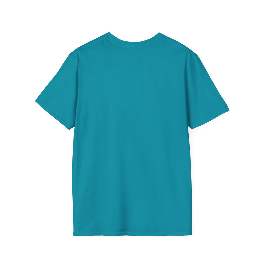 Unisex Softstyle T-Shirt - Hate Has No Place Colorful Graphic Tee