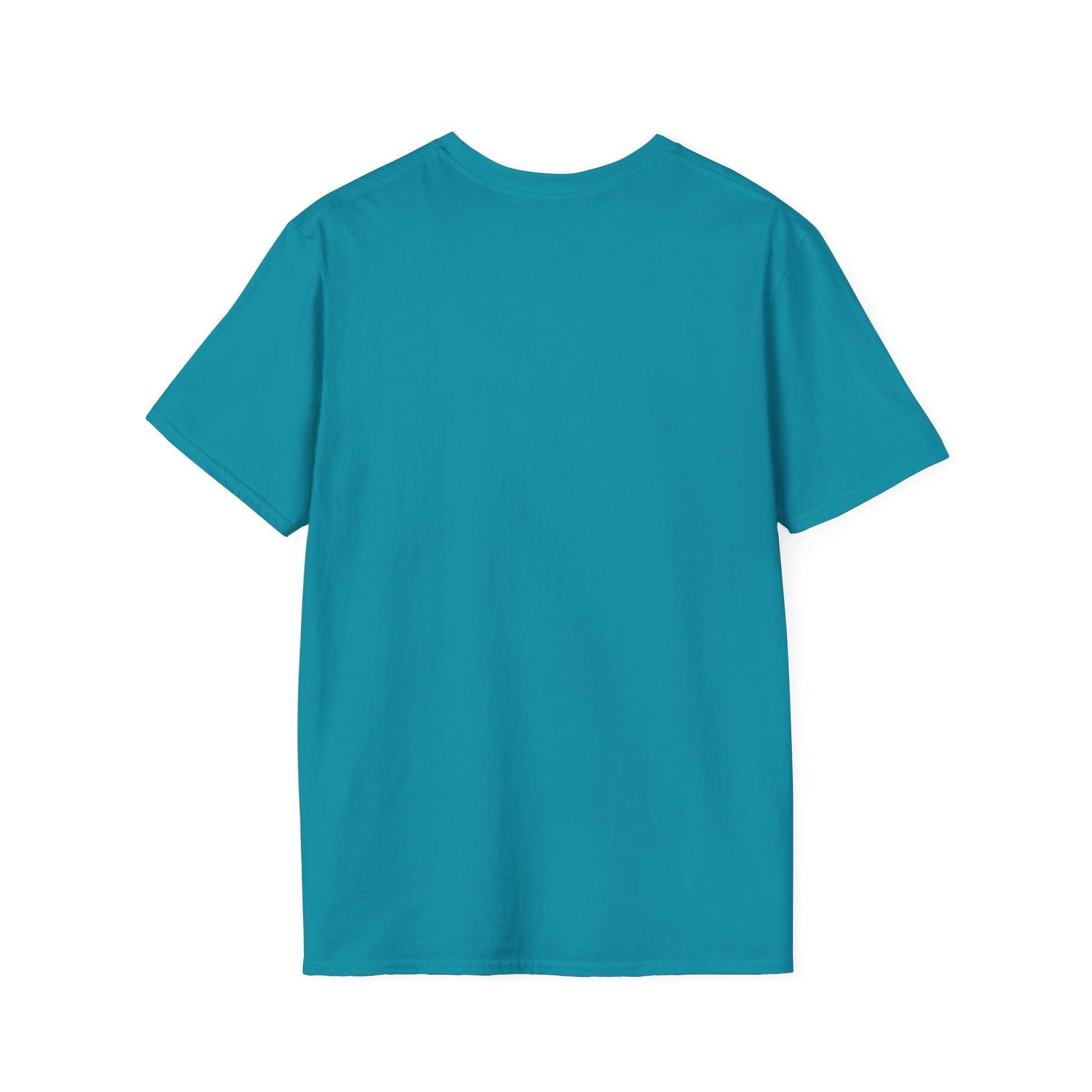 Unisex Softstyle T-Shirt - Hate Has No Place Colorful Graphic Tee