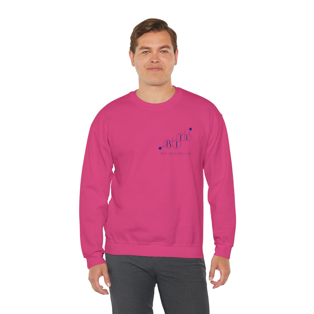 BTTF - Black Trans Travel Fund Unisex Crewneck Sweatshirt