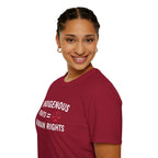 Indigenous Rights = Human Rights T-shirt