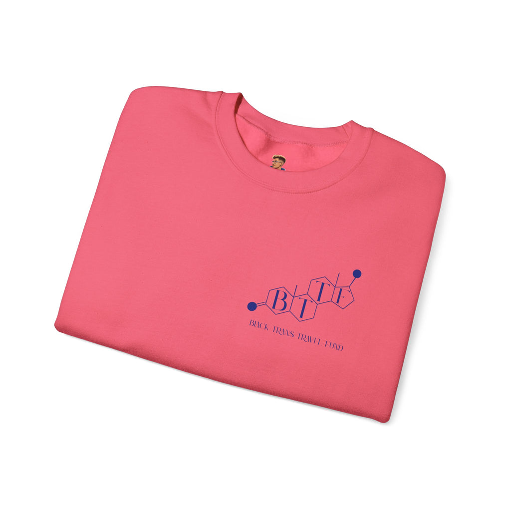 BTTF - Black Trans Travel Fund Unisex Crewneck Sweatshirt