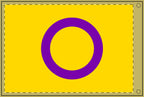Vibrant Double-Sided Asexual Pride Flag  - Perfect for Celebrations and Home Decor