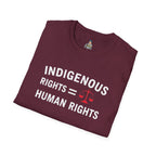 Indigenous Rights = Human Rights T-shirt