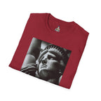 Divided States of America Graphic Tee Softstyle Unisex T-Shirt