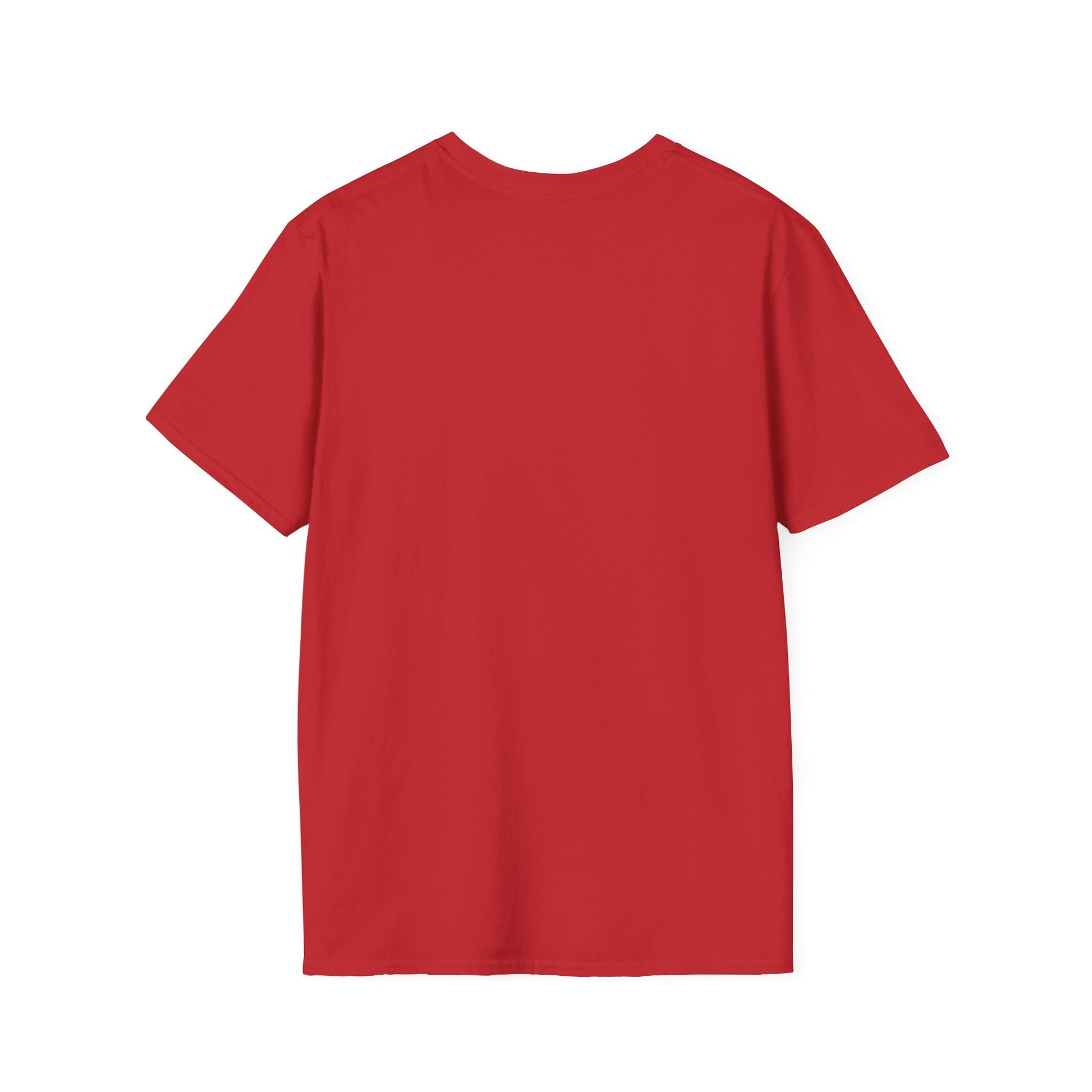 USA Democracy Statement Unisex Softstyle T-Shirt