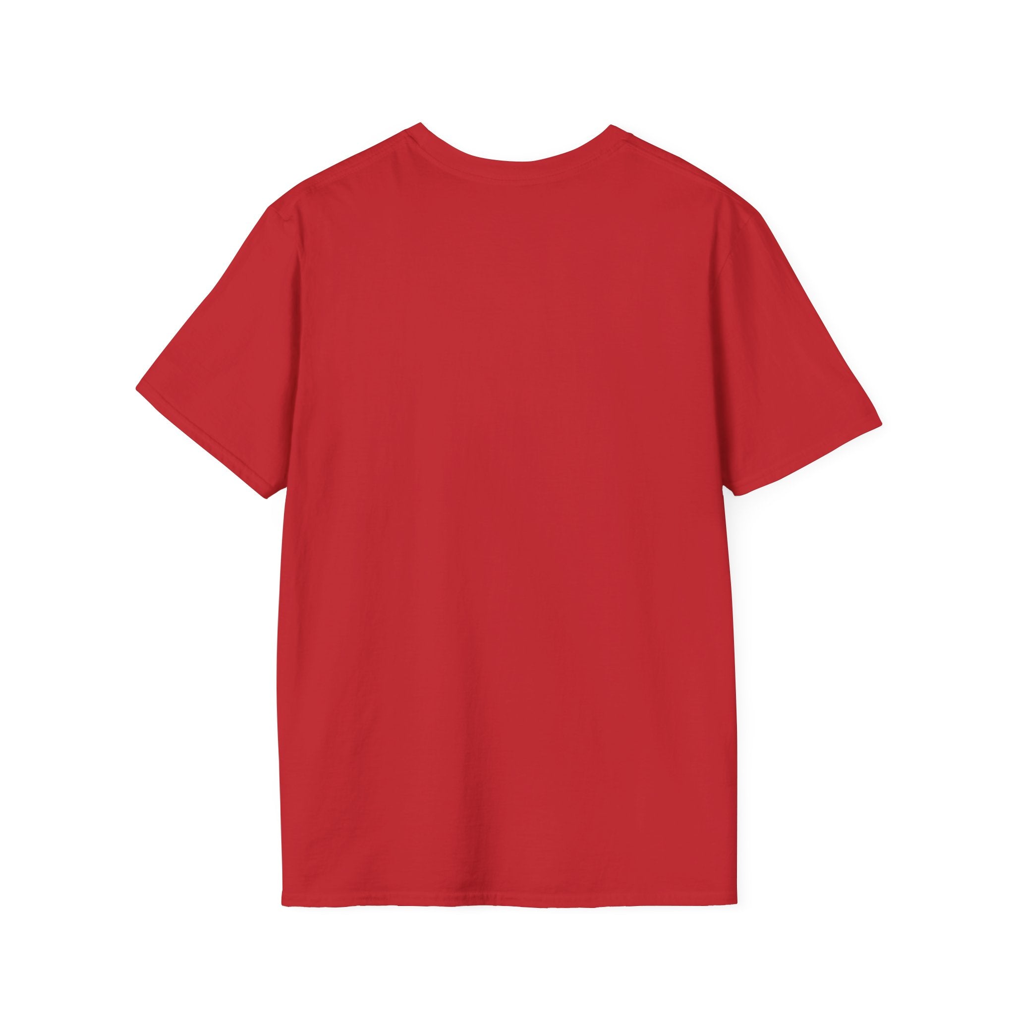 USA Democracy Statement Unisex Softstyle T-Shirt