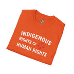 Indigenous Rights = Human Rights T-shirt