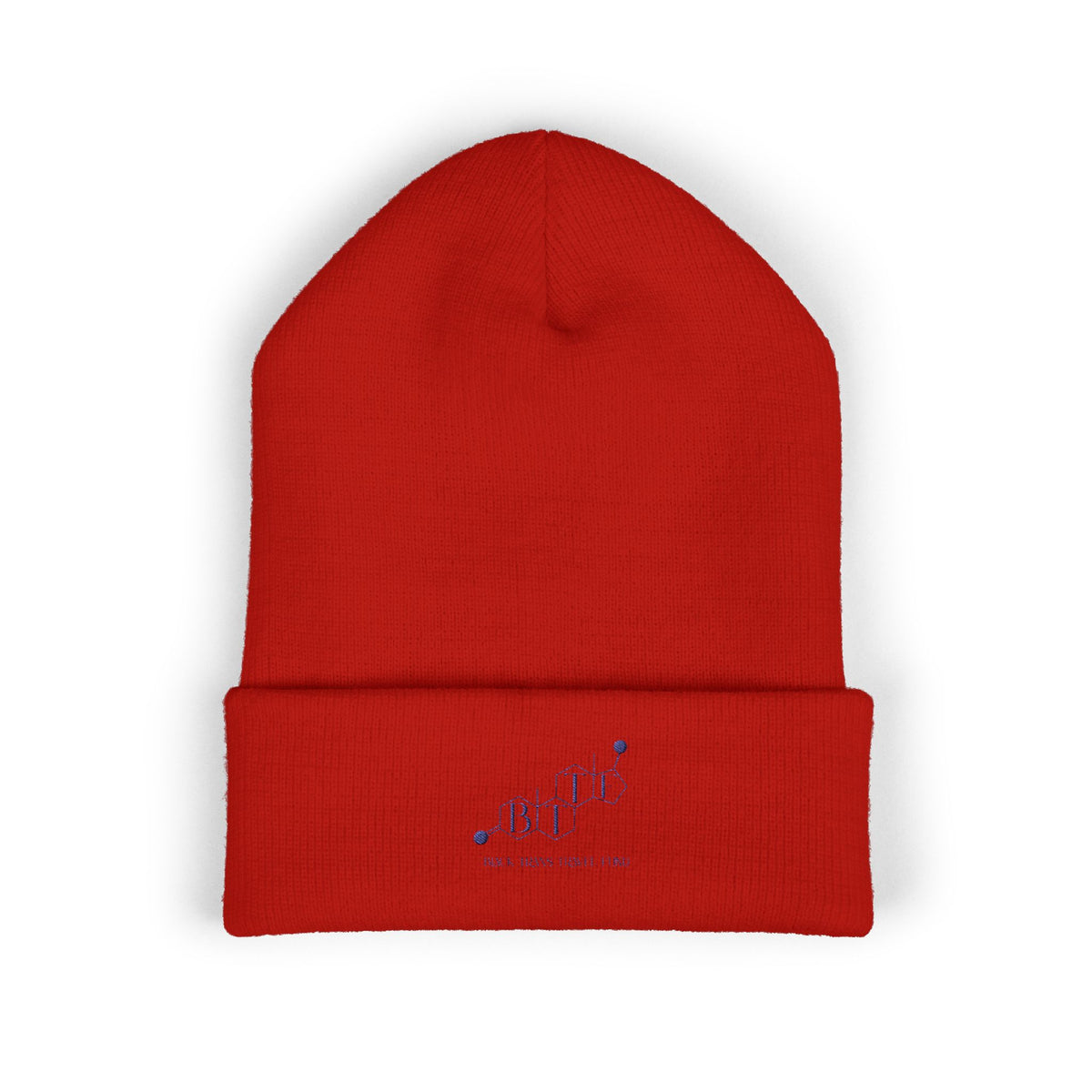 BTTF - Black Trans Travel Fund Embroidered Beanie