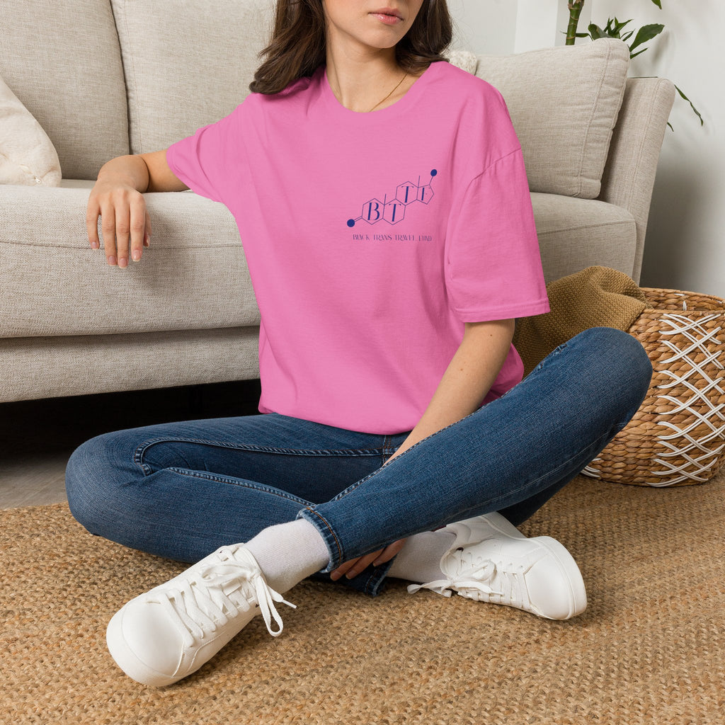 BTTF - Black Trans Travel Fund Unisex Softstyle T-Shirt