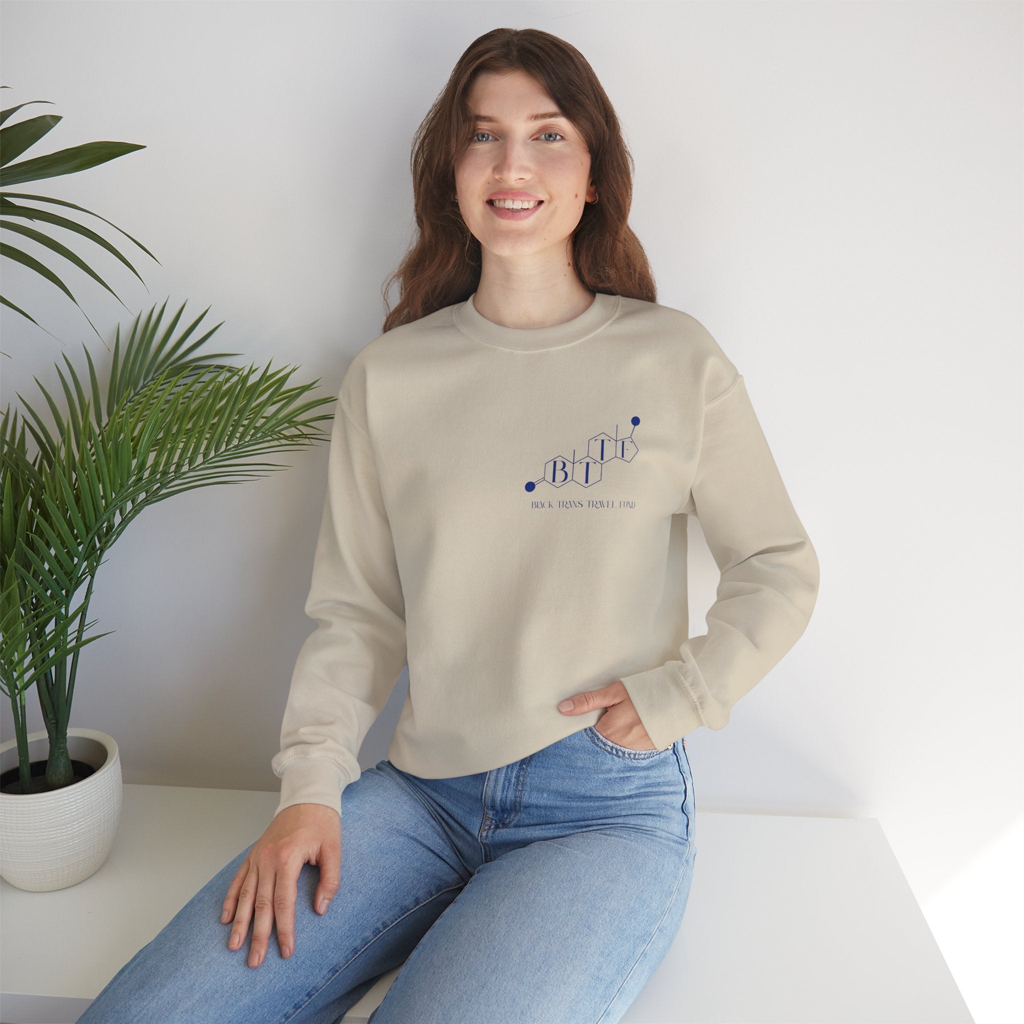 BTTF - Black Trans Travel Fund Unisex Crewneck Sweatshirt