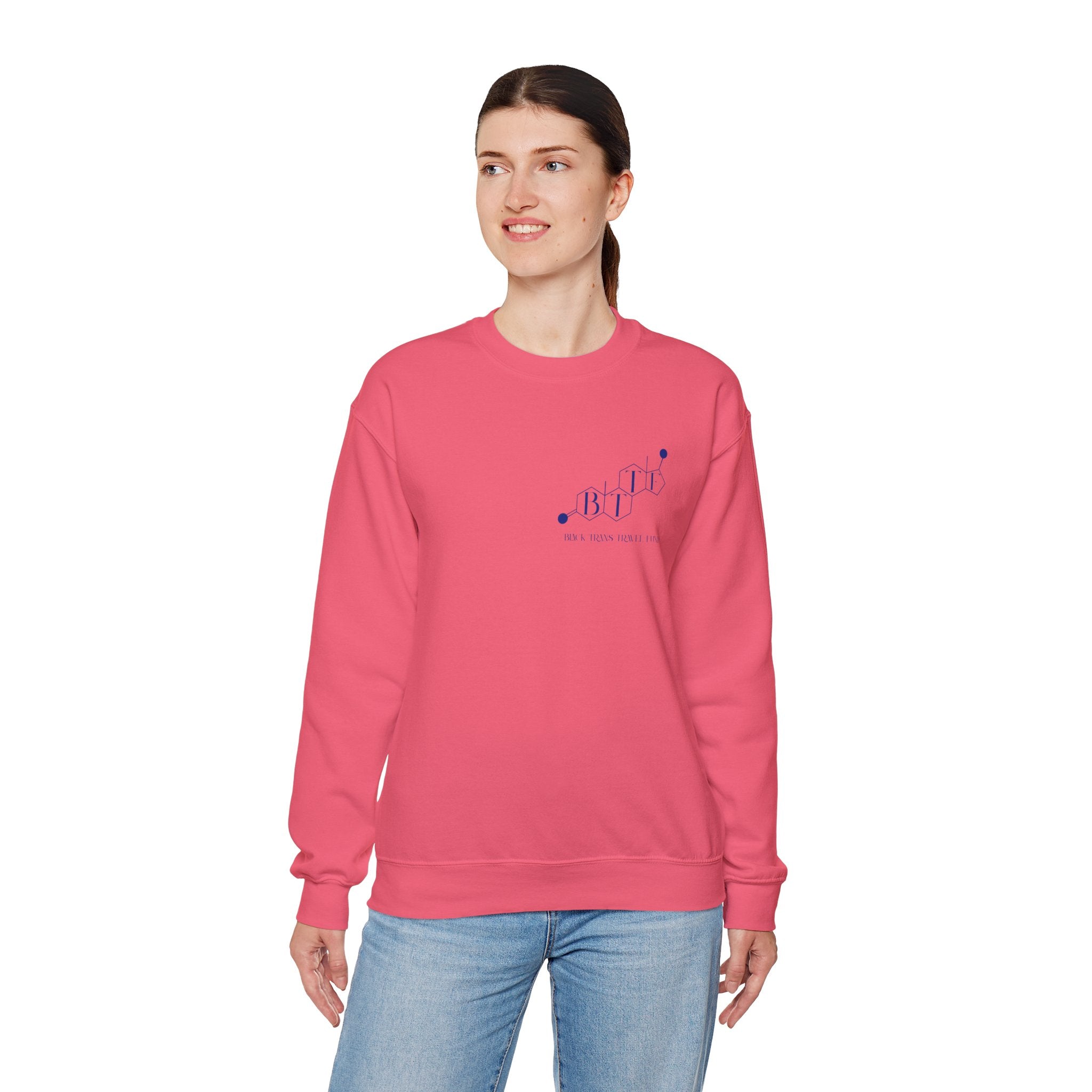 BTTF - Black Trans Travel Fund Unisex Crewneck Sweatshirt