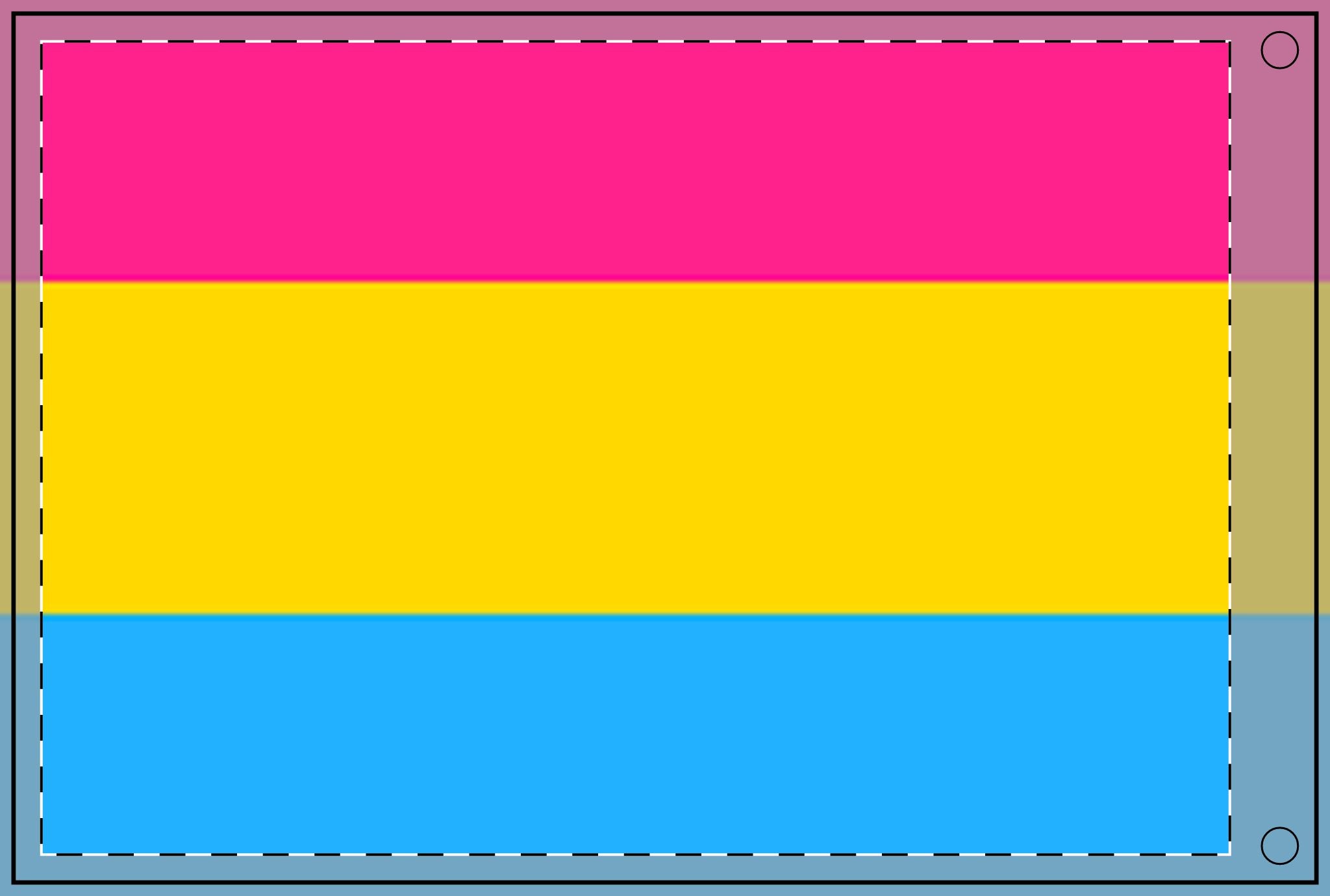 Vibrant Double Sided Pansexual Pride Flag - Perfect for Celebrations & Events