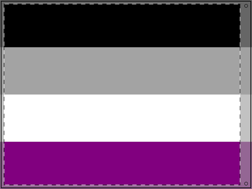Double Sided Asexual Pride Flag - Inclusive Decor for Celebrations & Events - EqualiTees.Me