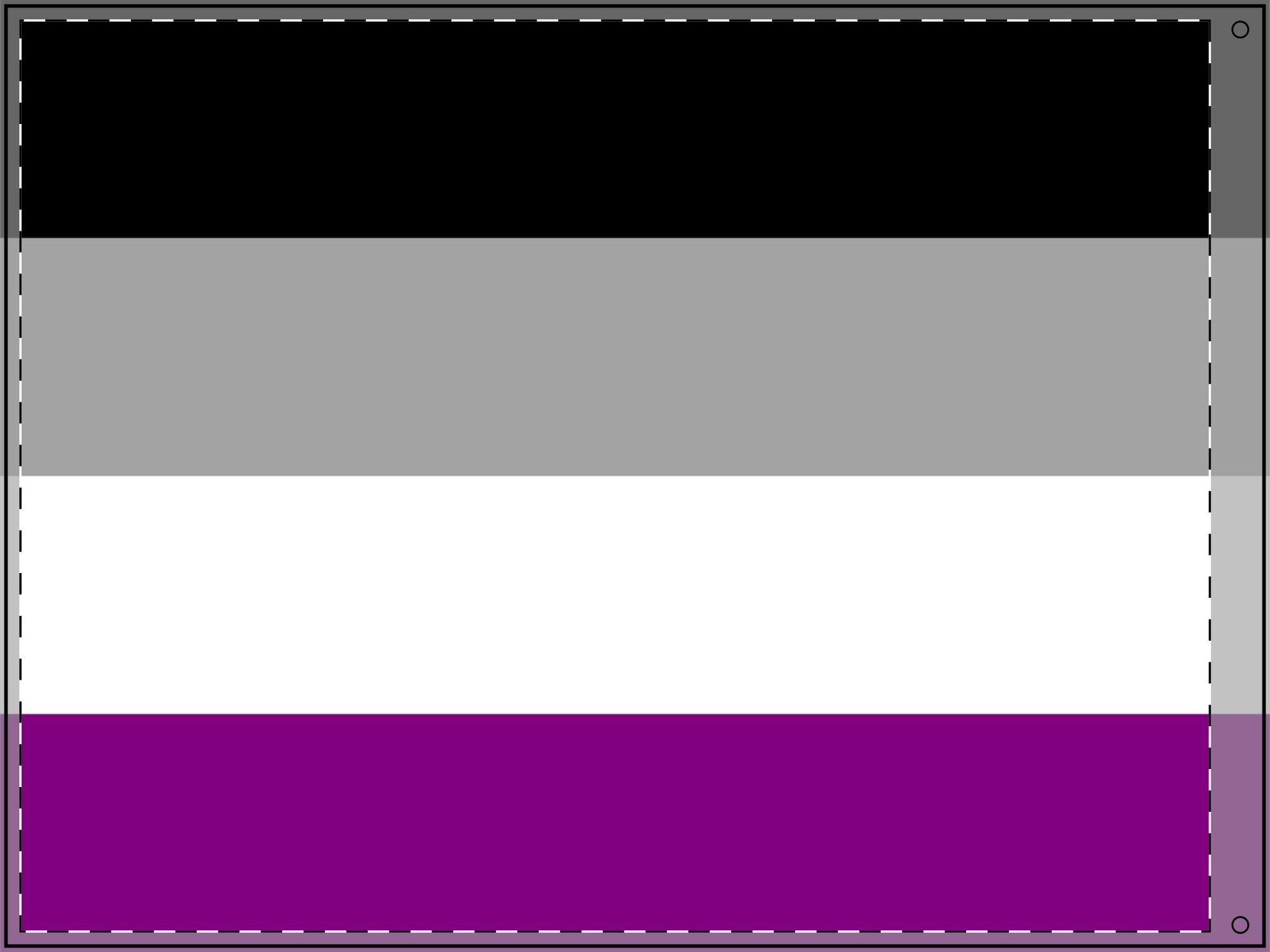 Double Sided Asexual Pride Flag - Inclusive Decor for Celebrations & Events - EqualiTees.Me