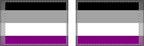 Double Sided Asexual Pride Flag - Inclusive Decor for Celebrations & Events - EqualiTees.Me