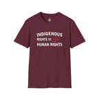 Indigenous Rights = Human Rights T-shirt - EqualiTees.Me