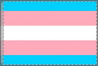 Transgender Pride Double - Sided Flag - Celebrate Inclusivity and Diversity - EqualiTees.Me