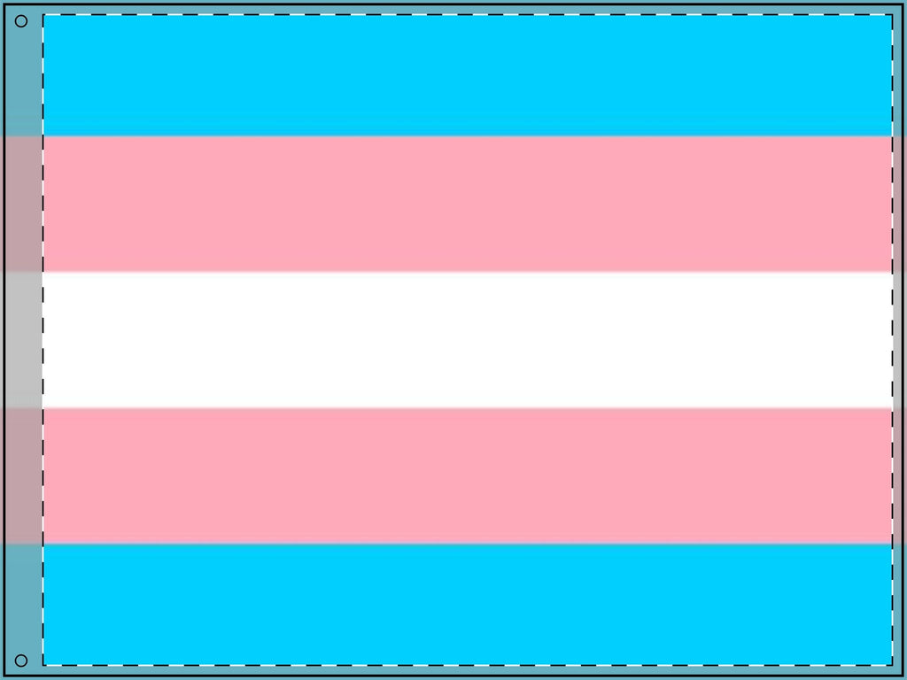 Transgender Pride Double - Sided Flag - Celebrate Inclusivity and Diversity - EqualiTees.Me