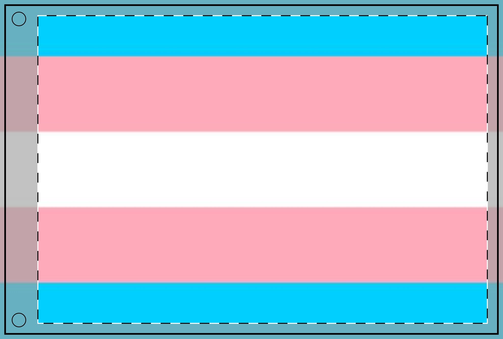 Transgender Pride Double - Sided Flag - Celebrate Inclusivity and Diversity - EqualiTees.Me