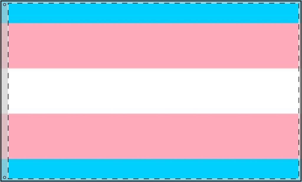 Transgender Pride Double - Sided Flag - Celebrate Inclusivity and Diversity - EqualiTees.Me