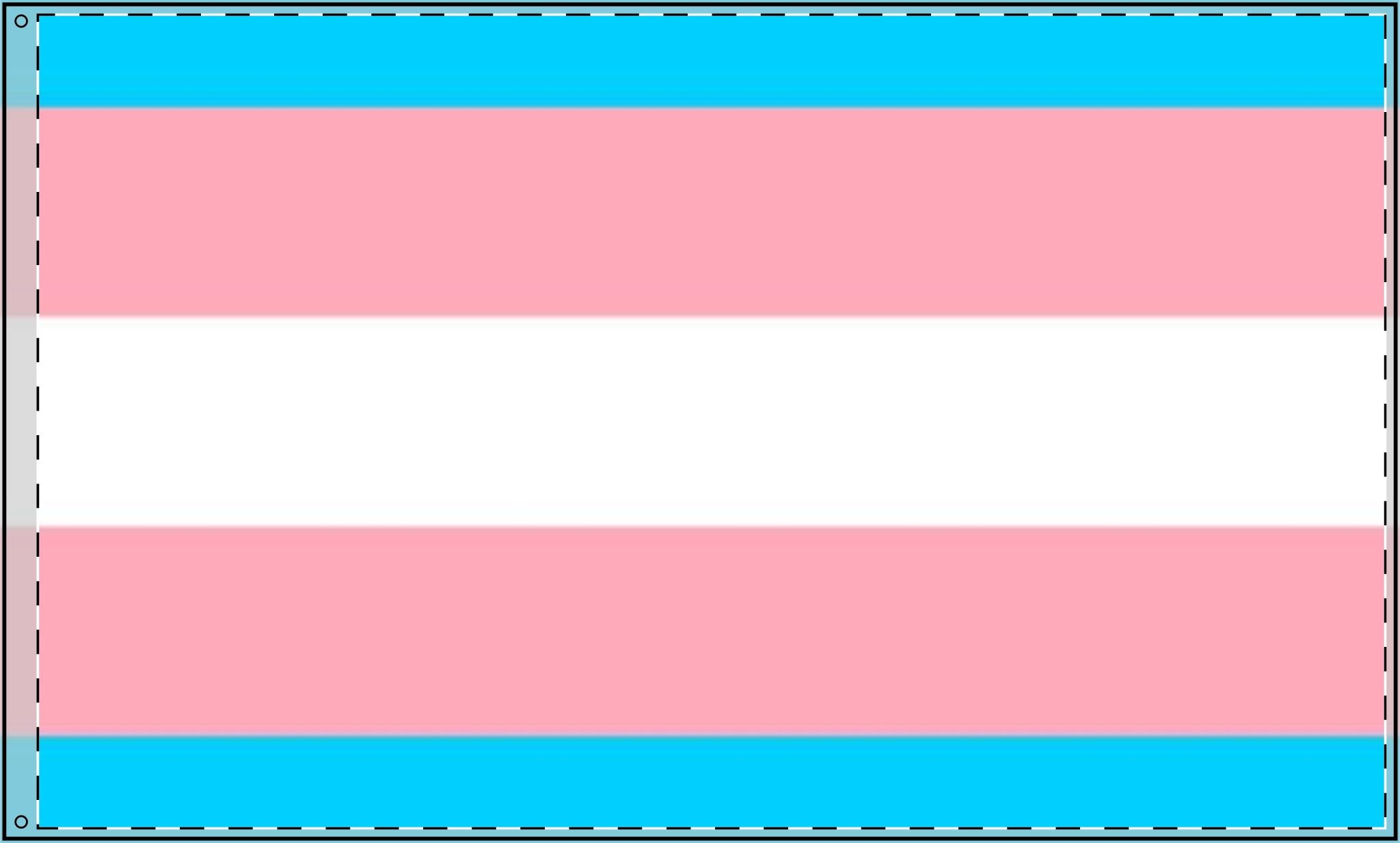 Transgender Pride Double - Sided Flag - Celebrate Inclusivity and Diversity - EqualiTees.Me