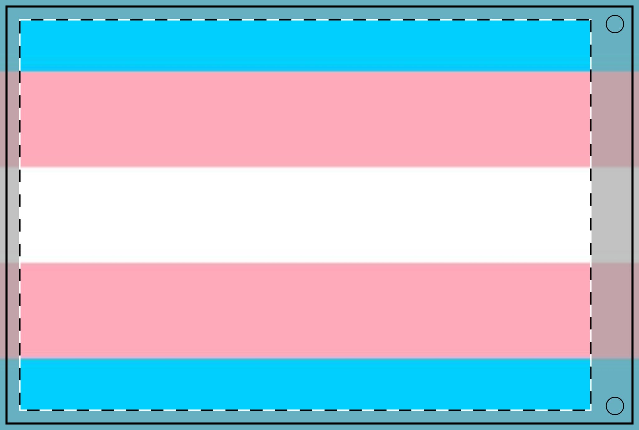 Transgender Pride Double - Sided Flag - Celebrate Inclusivity and Diversity - EqualiTees.Me