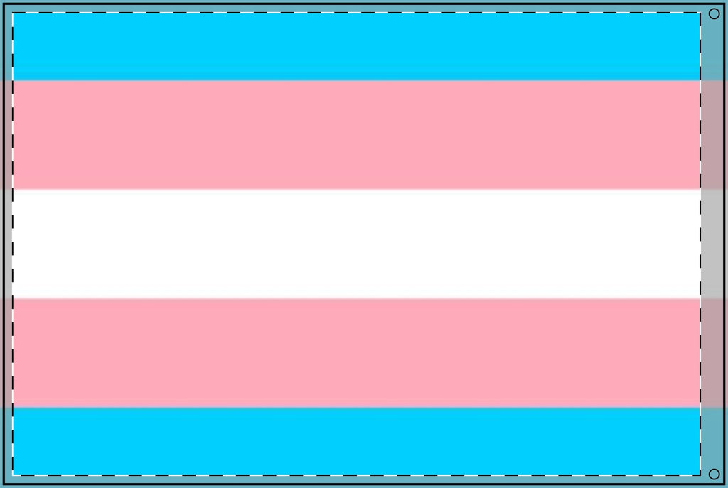 Transgender Pride Double - Sided Flag - Celebrate Inclusivity and Diversity - EqualiTees.Me