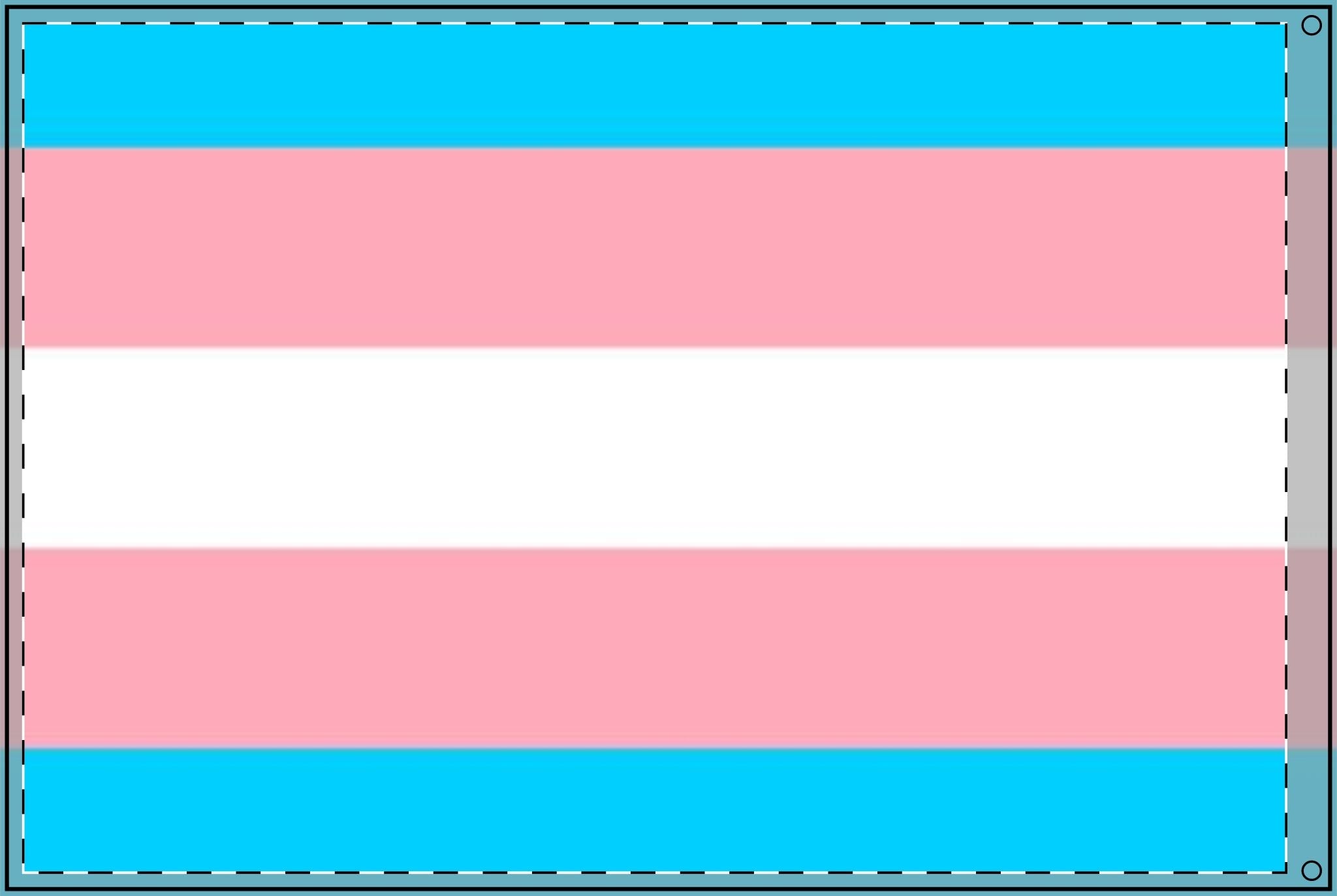 Transgender Pride Double - Sided Flag - Celebrate Inclusivity and Diversity - EqualiTees.Me