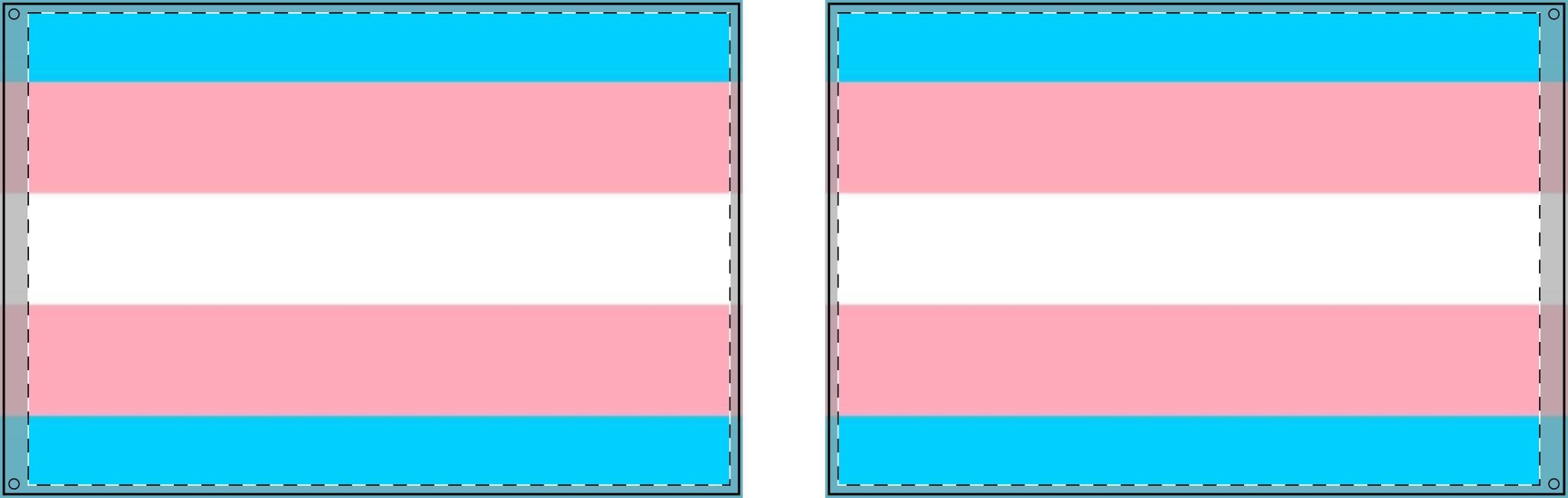 Transgender Pride Double - Sided Flag - Celebrate Inclusivity and Diversity - EqualiTees.Me