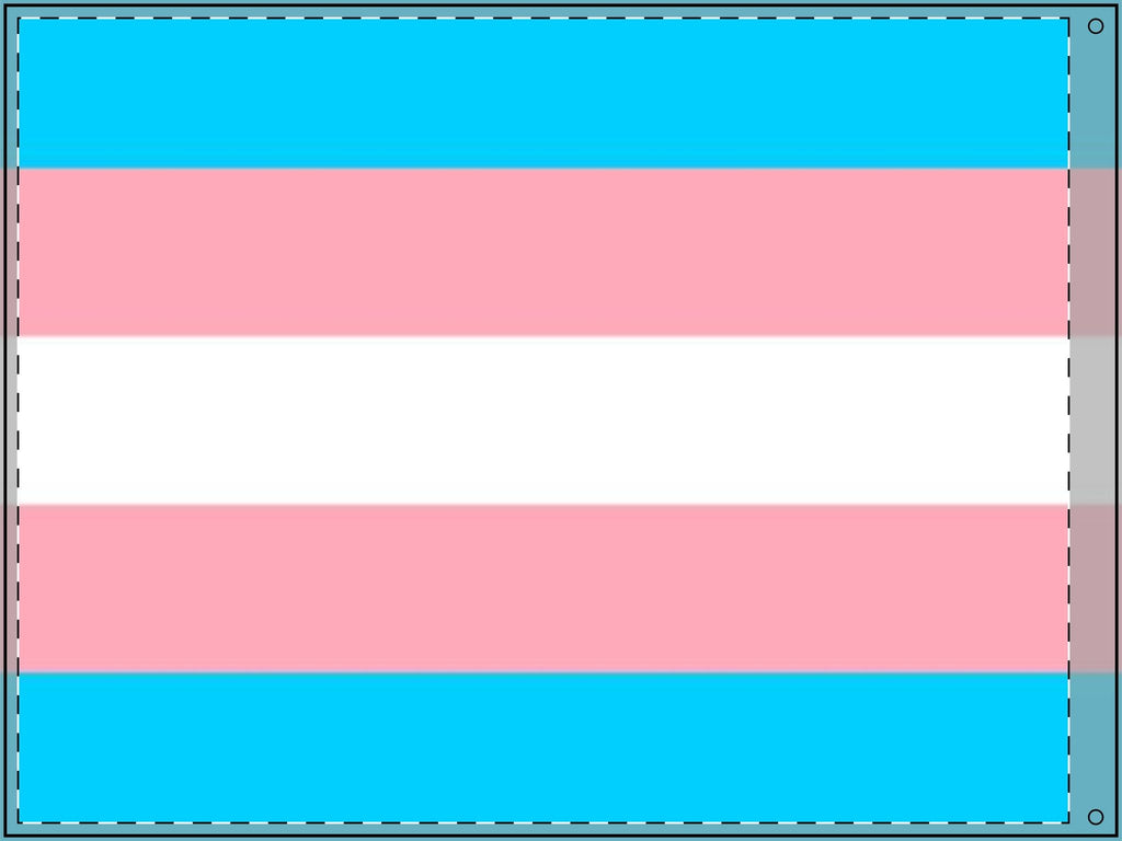 Transgender Pride Double - Sided Flag - Celebrate Inclusivity and Diversity - EqualiTees.Me