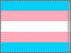 Transgender Pride Double - Sided Flag - Celebrate Inclusivity and Diversity - EqualiTees.Me