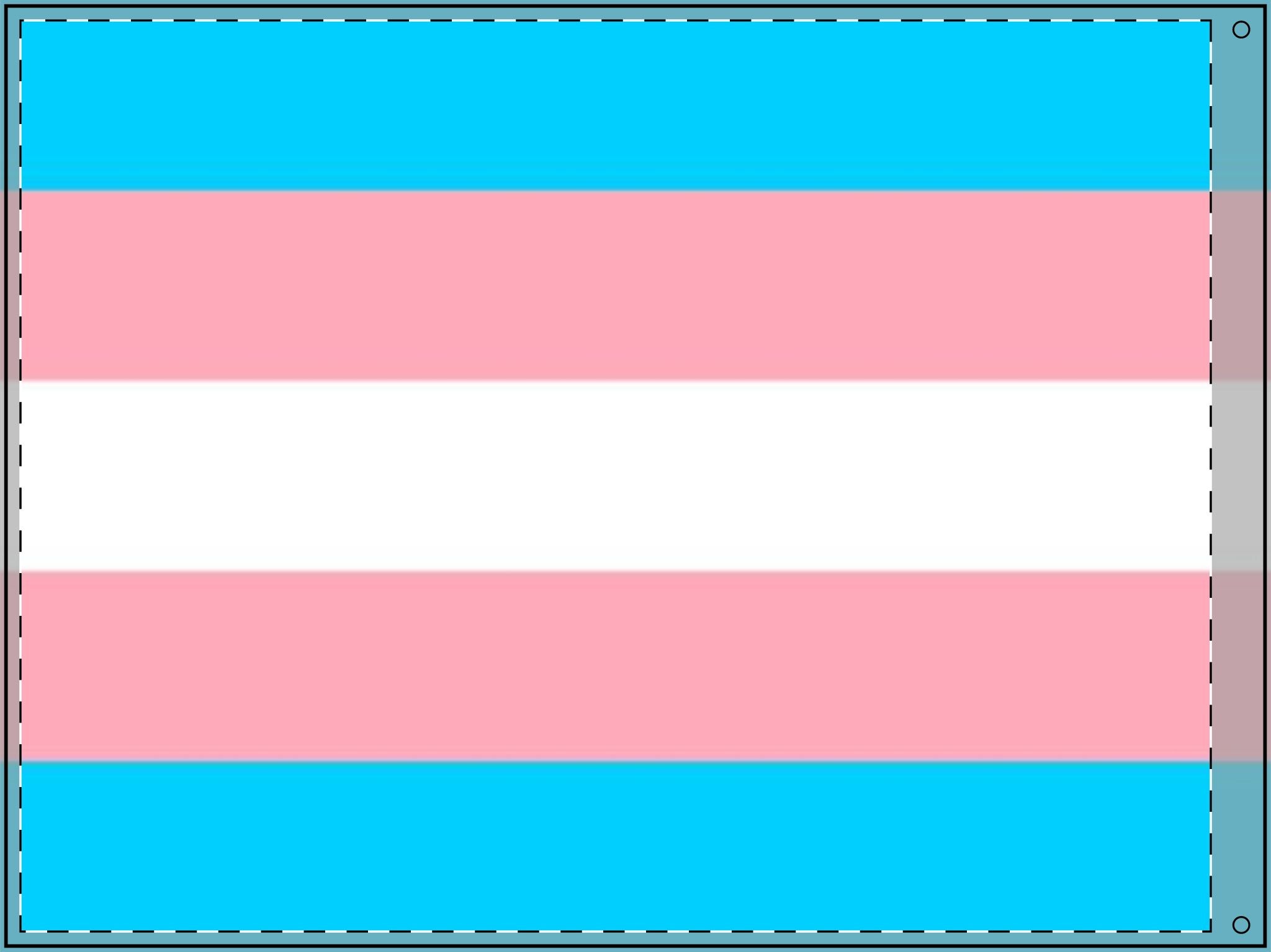 Transgender Pride Double - Sided Flag - Celebrate Inclusivity and Diversity - EqualiTees.Me
